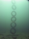 TireChain * 1536 x 2048 * (1.88MB)